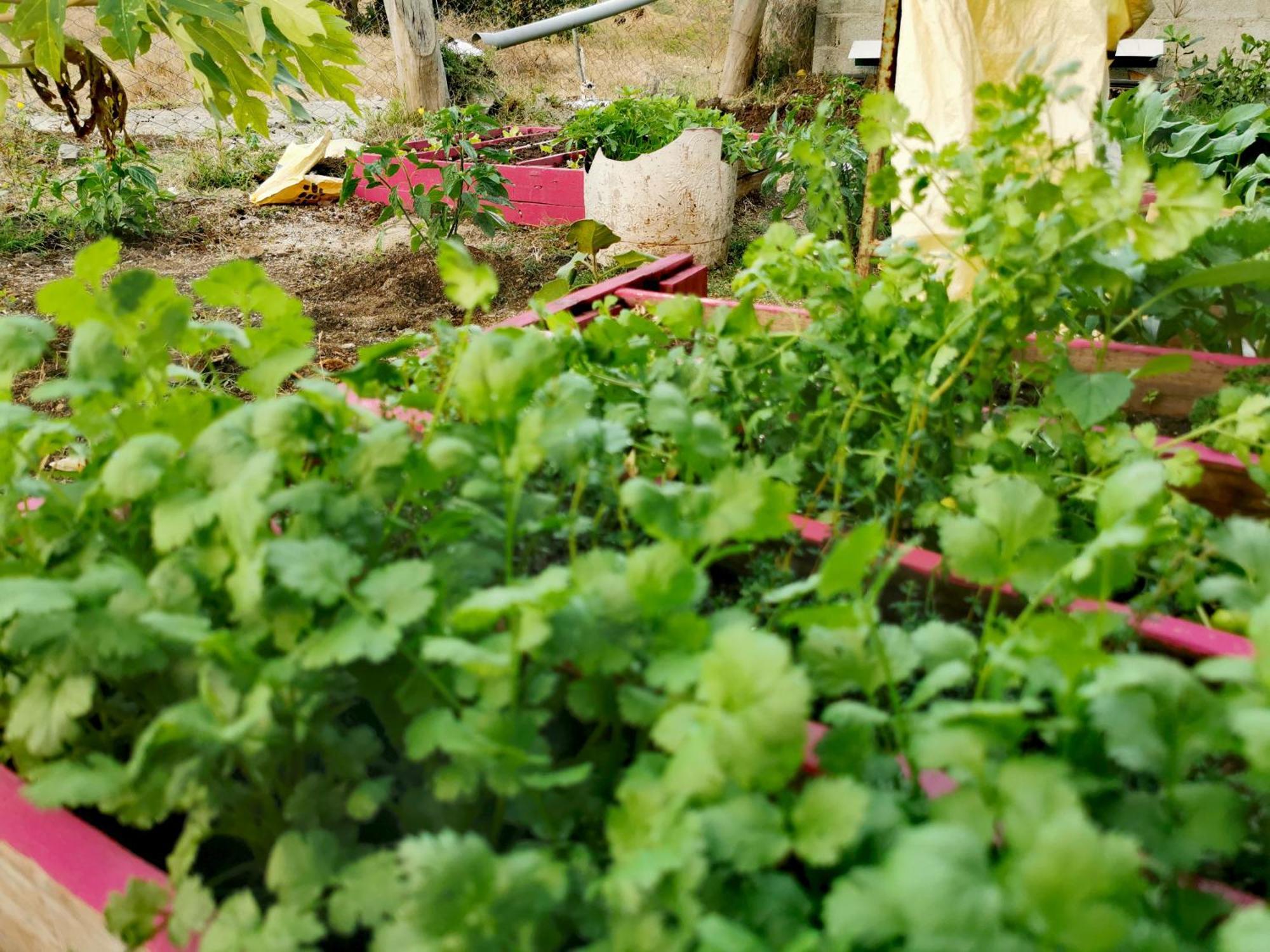 Panoramic Paradise La Ferme Extérieur photo